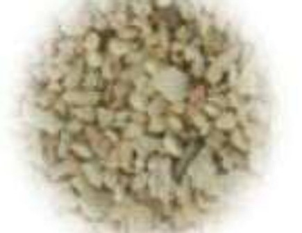 Coral sand